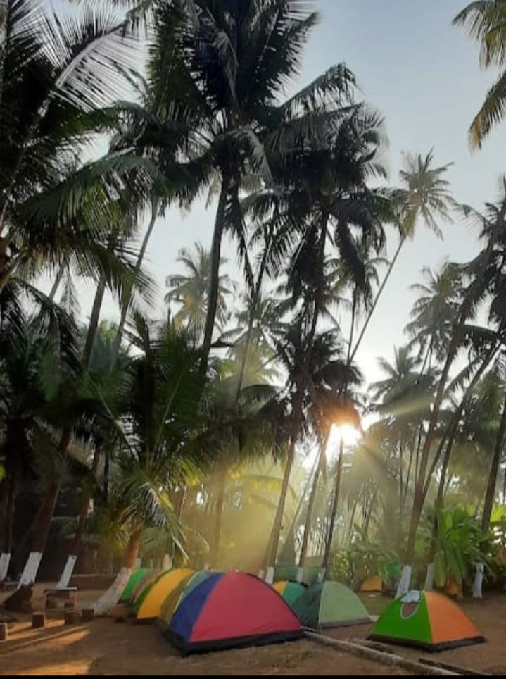 Alibaug Camping at Revdanda Beach - Image 7